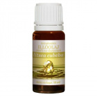 Neuston illóolaj - litsea cubeba 10ml Neuston illóolaj - litsea cubeba 10ml