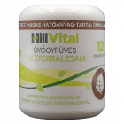 HillVital gyógyfüves mesterbalzsam 250ml HillVital gyógyfüves mesterbalzsam 250ml