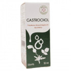 Bálint cseppek Gastrochol csepp 30ml Bálint cseppek Gastrochol csepp 30ml