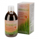 HerbaClass Természetes növényi kivonat (Homoktövis) 300ml HerbaClass Természetes növényi kivonat (Homoktövis) 300ml