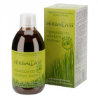 HerbaClass Természetes növényi kivonat (Neuro) 300ml HerbaClass Természetes növényi kivonat (Neuro) 300ml