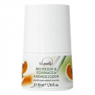 Dr. Ganolife bio reishi-echinacea krémdezodor 50ml 