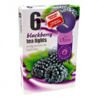 Admit teamécses - szeder 6db Admit teamécses - szeder 6db