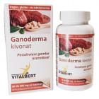 Vitalbert Ganoderma kivonat kapszula 60db Vitalbert Ganoderma kivonat kapszula 60db