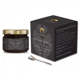 Organiqa Shilajit gyanta 50g