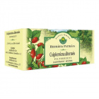 Herbária csipkebogyó hús filter tea 25db Herbária csipkebogyó hús filter tea 25db