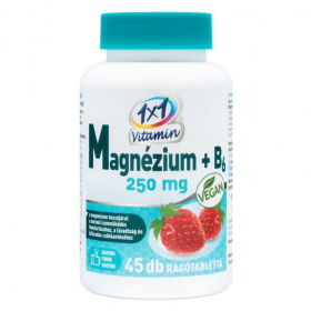 1x1 Vitaday Magnézium 250mg+B6 rágótabletta 45db