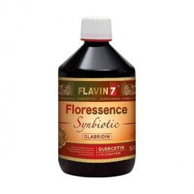Flavin7 Floressence Synbiotic ital 500ml